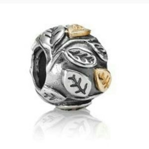 💯% authentic 2 matching two toned pandora charms